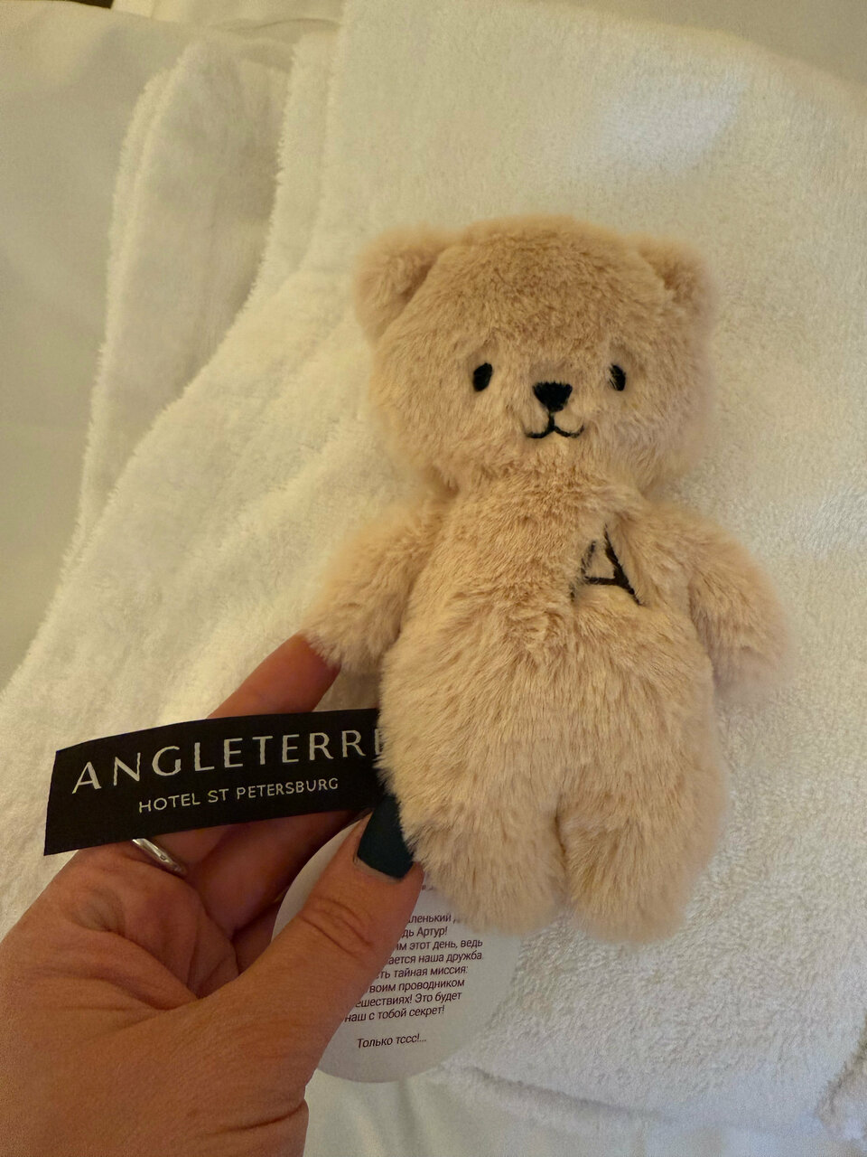 Гостиница Англетер Санкт-Петербург-86